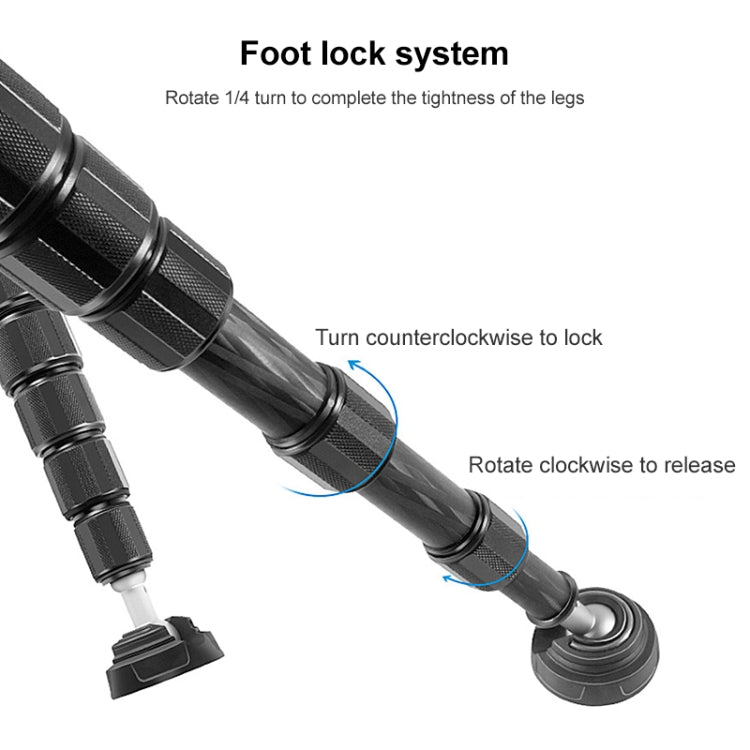 BEXIN P406C Camera Carbon Fiber Monopod Travel Live Selfie Bracket Holder by BEXIN