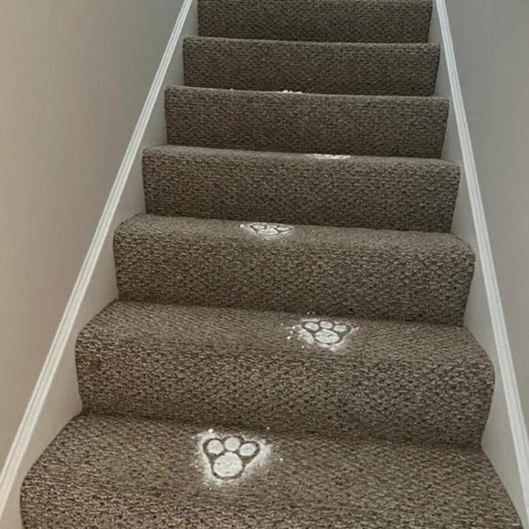 Acrylic Easter Bunny Footprint Template, Style:Dual Footprint by bashfashion