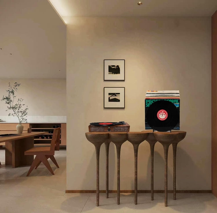 YX024 Acrylic Record Rack Desktop Book CD Display Stand Holder (Black) by bashfashion