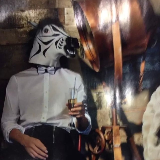 Popular Pretty Halloween Mask Masquerade Emulsion Horse Head Zebra Mask for Men and Women by bashfashion