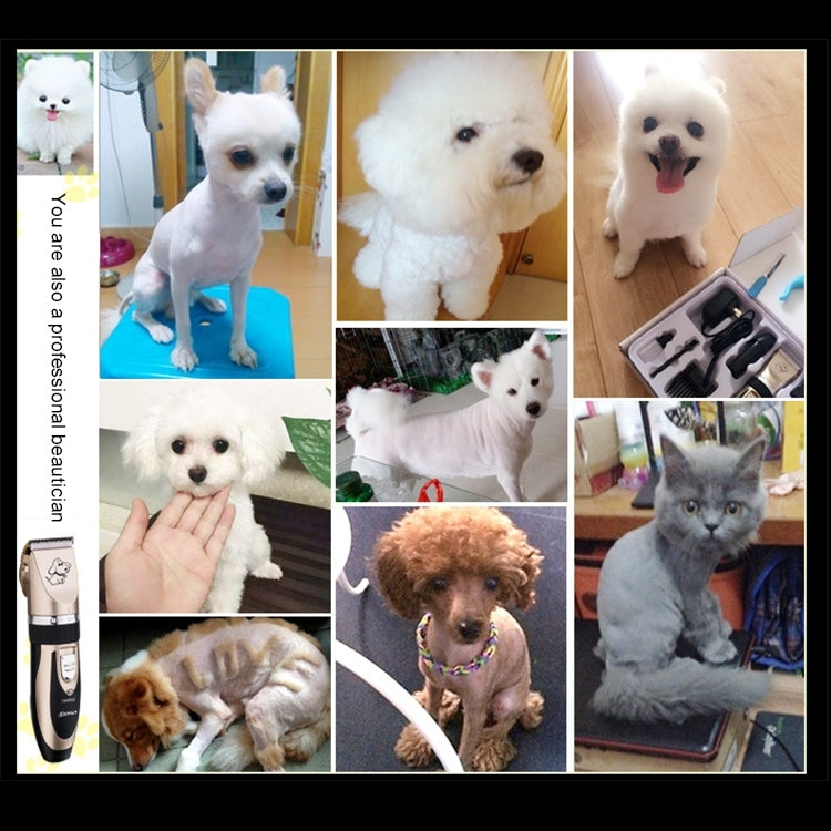 P2 110-240V Ceramics Titanium Professional Pet Electric Scissors Pets Hair Clippers with Four Combs by bashfashion