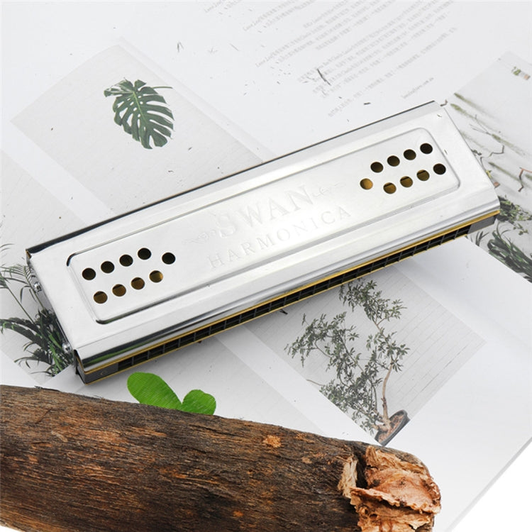 Swan SW24-12A 24-holes Double-sided Harmonica Beginner Polyphony Box Adult Children Beginners Performance by bashfashion