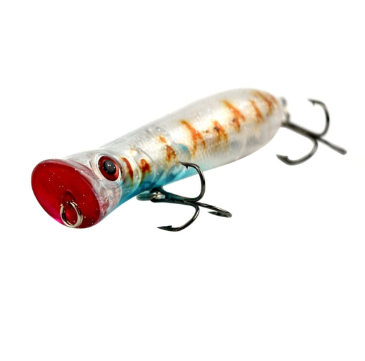 8cm Shrimp Mouth Type Water Surface Popper Lure Hit Water Waves Climb Fishing Bait, Random Color Delivery by bashfashion