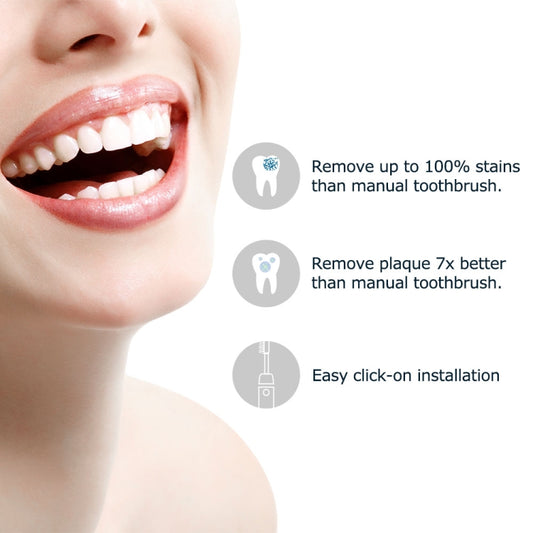 4 PCS D903/D904 Replacement Brush Heads for Mornwel D01(White) by bashfashion