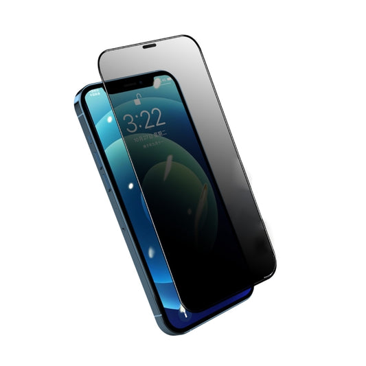 For iPhone 12 / 12 Pro ENKAY Quick Stick Anti-peeping Tempered Glass Film by ENKAY