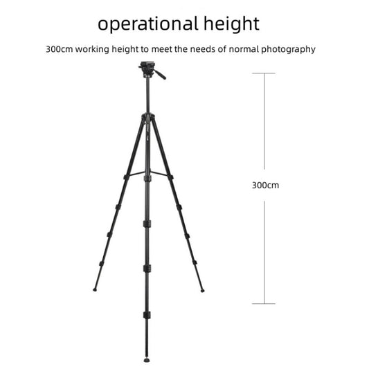 SYA0022460_1.jpg@7f4df68790217cd03474bf938beda6ee