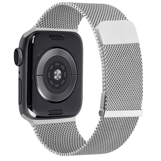 For Apple Watch SE 2022 40mm Milan Double Magnetic Steel Mesh Watch Band(Silver) by bashfashion