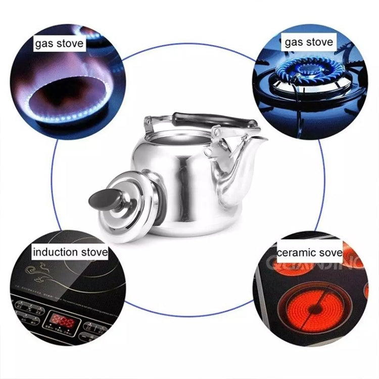 Stainless Steel Whistle Kettle for Induction Cooker Home Classical Piano Sound Singing Pot without Magnetic Heat, Capacity:1.5L by bashfashion