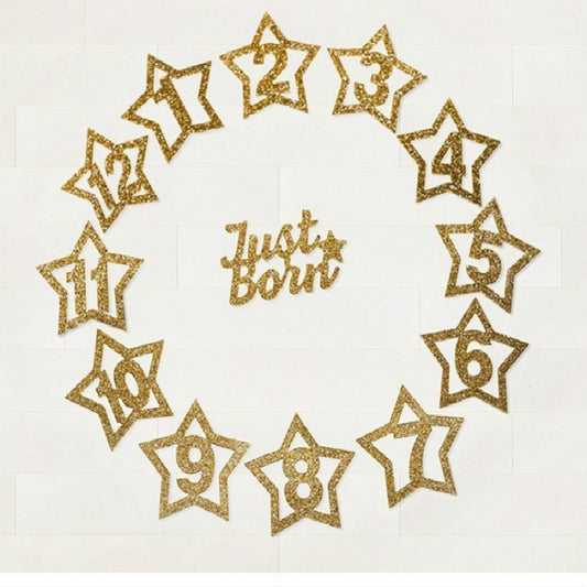 Age Celebration Decoration Background Pentagram Photo Folder 1-12 Months Baby Photo Record Party Banner Pull Flag by bashfashion