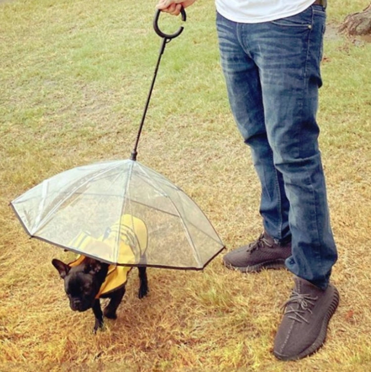 Pet Umbrella Transparent Adjustable Rainy Dog Walking Leash by bashfashion