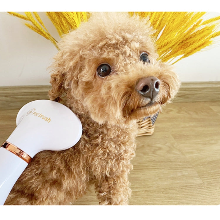 Pet Hair Dryer Cat & Dog Cleaning Electric Comb, Specification:UK Plug(Green) by bashfashion