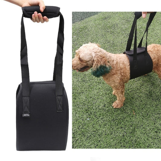 HCPET F1905 Disabled Dogs Assistive Belts Elderly Dogs Walking Assisted Leashes Pet Supplies, Size: S(Black) by bashfashion