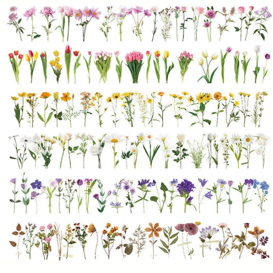 40 in 1 Fresh Hand Account Diary DIY Sticker Color Random Delivery by bashfashion