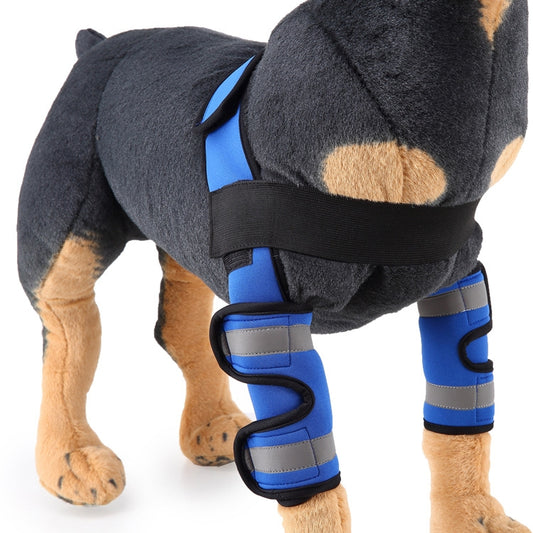 Pet Dog Leg Knee Guard Surgery Injury Protective Cover, Size: L(Anti-glory Model (Blue)) by bashfashion