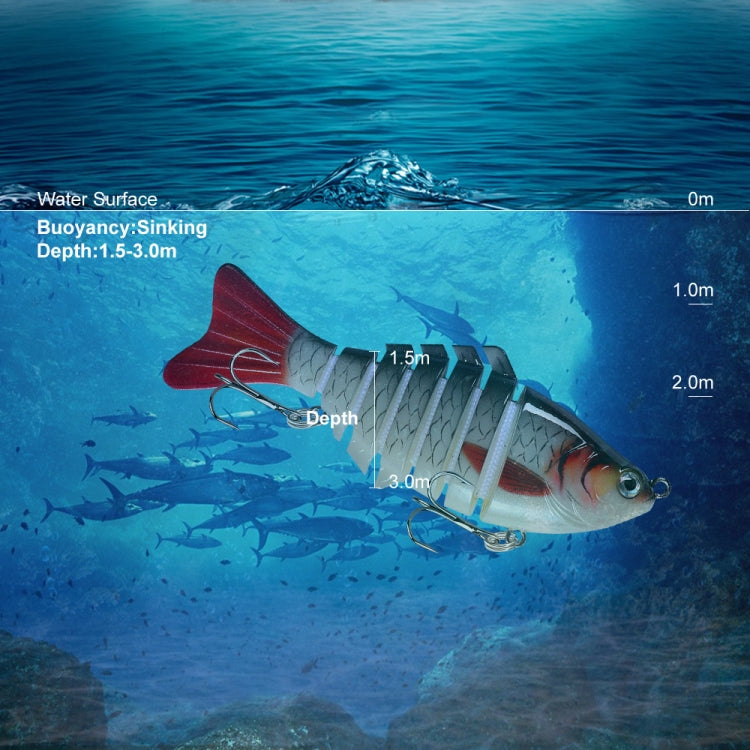 PROBEROS HS066 10cm 15.5g Sea Fishing Simulation Road Sub-Bait(E) by bashfashion