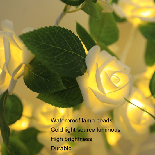 SJ-SD054 LED Valentine Day Rose Indoor Party Decoration Lights(White Bottom Blue) by bashfashion