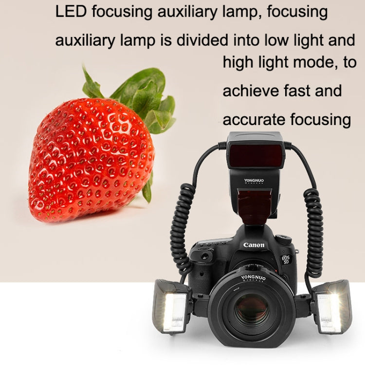 For Canon TTL Oral Insect Insect Teeth Ring Light YONGNUO YN24EX Macro Ring Flash Speedlite(Black) by YONGNUO