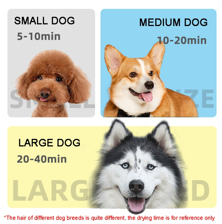 2100W Dog Dryer Stepless Speed Pet Hair Blaster Pet Water Blower 110V US Plug(Pure Blue) by bashfashion