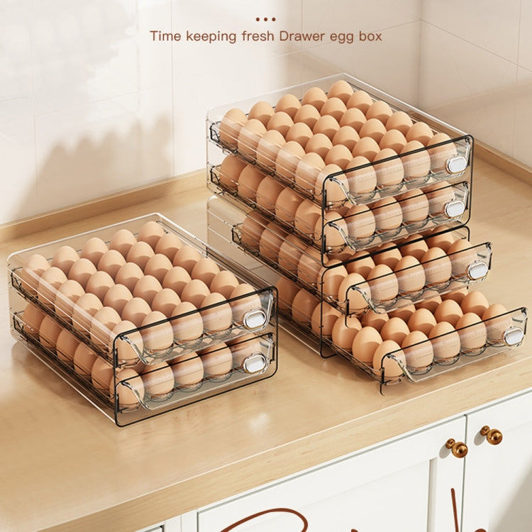 Large Double Layer 40 Grid Egg Storage Box PET Transparent Multi-Specification Egg Box by bashfashion