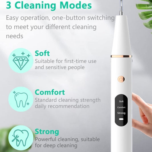 Ultrasonic Electric Dental Scaler Teeth Plaque Cleaner Dental Stone Removal With LED Light, Spec: Package B by bashfashion