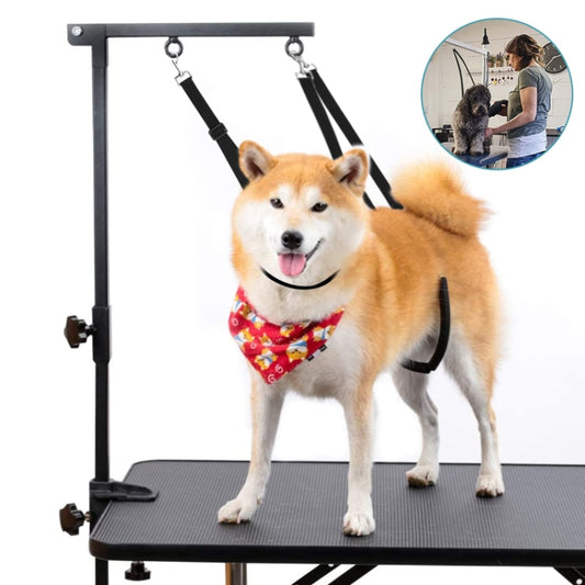 3pcs /Set Pet Bathing Beauty Table Fixed Lanyard Dog Tow Rope(Blue) by bashfashion