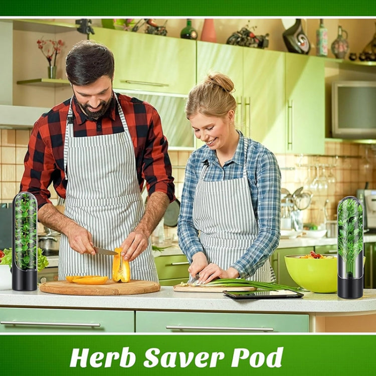 Herb Crisper Vegetable Keep Fresh Container Cilantro Herb Storage Container(Black) by bashfashion