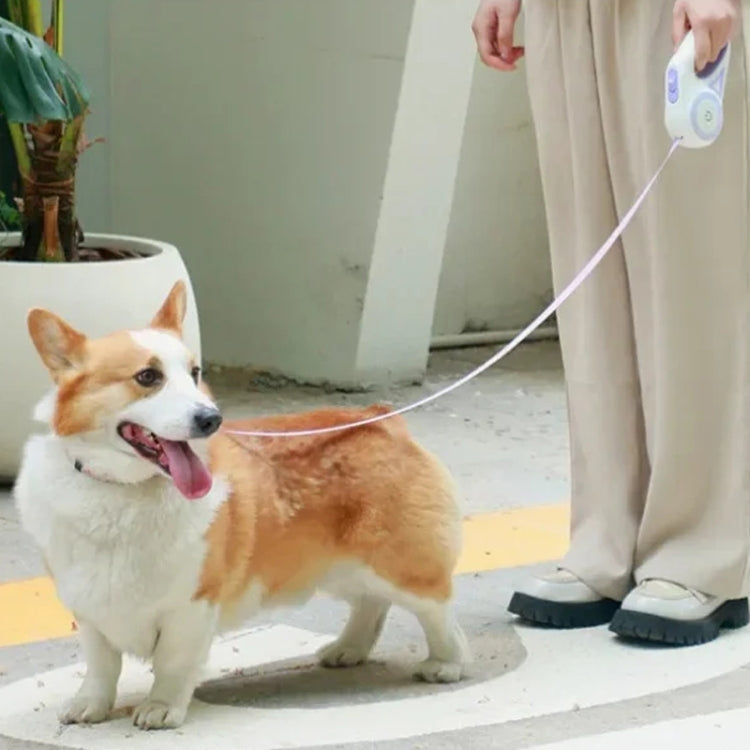 LED Light Luminous Pet Dog Leash Automatic Retractable Dog Walking Leash, Color: 3m Green by bashfashion