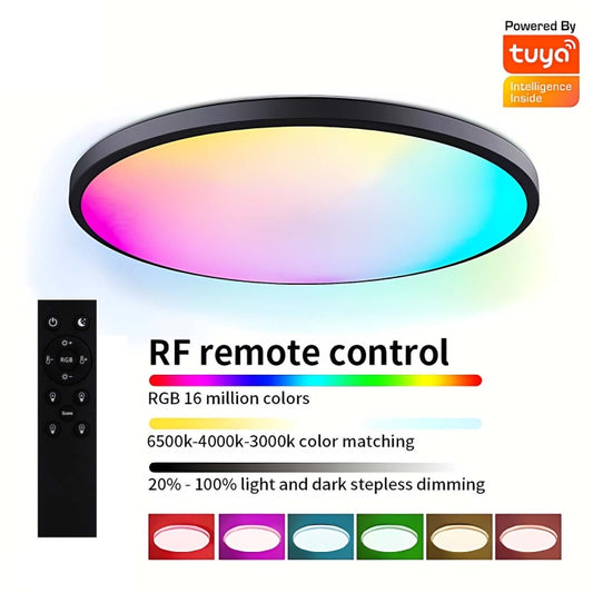 24W 30cm RGBCW Full Color Smart WiFi Tuya Ceiling Light with Remote Control by bashfashion