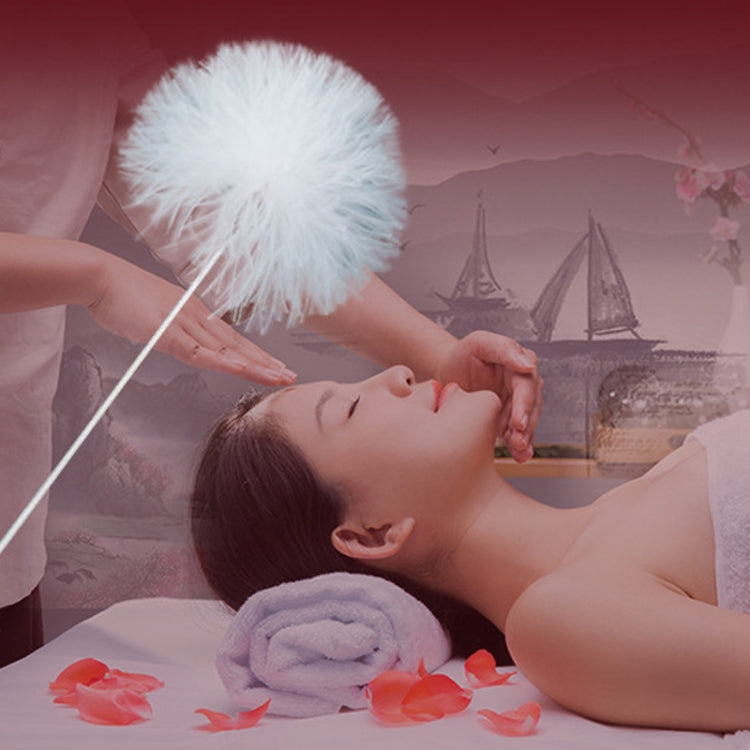 2pcs Medium Heads Silver Needle Goose Quill Stick Ear Picking Tool by bashfashion