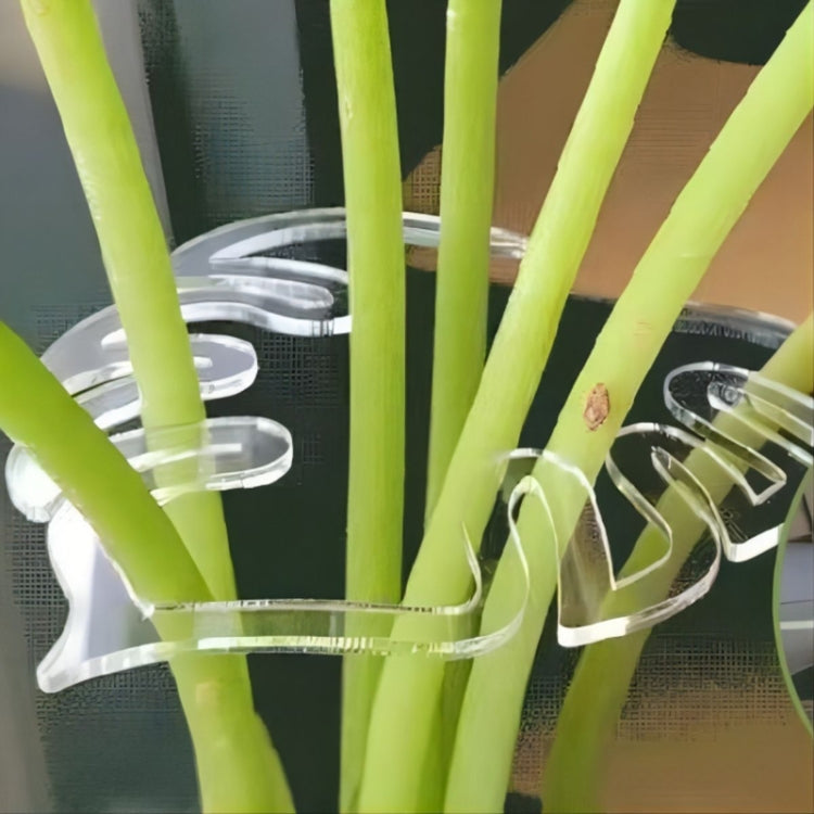 BJ138-001 Plant Roots Fixing Bracket Gardening Care Tools by bashfashion