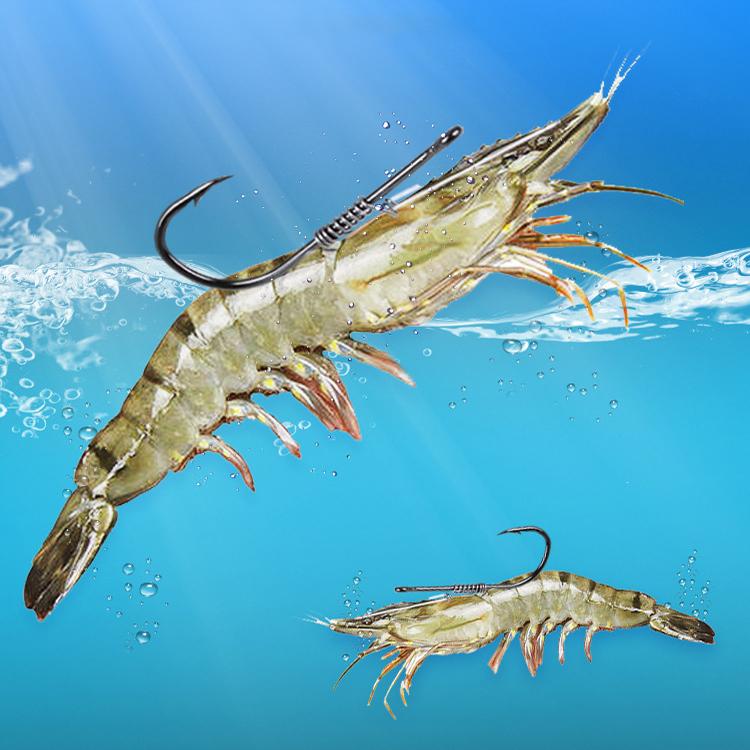 10pcs /Box Crooked Mouth Barbed Sea Fishing Hook Lure Fishing Hanging Shrimp Hook(3/0) by bashfashion