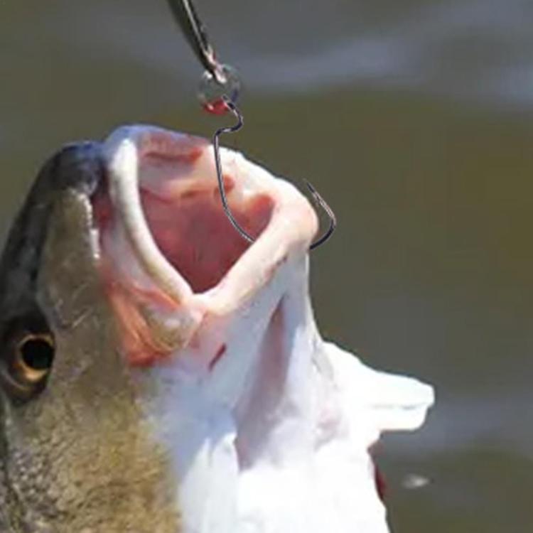 HENGJIA FH013 50pcs / Box Outdoor Fishing Cranked Stripers Hook Set, Color: Black by HENGJIA