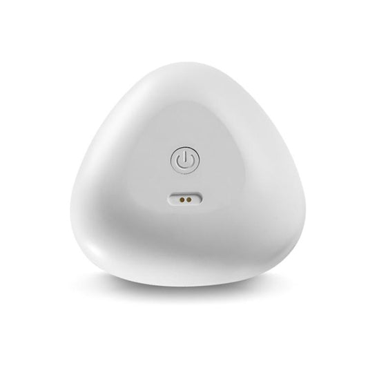 Portable Sterilization Pesticide Residue Removal Fruit Vegetable Cleaning Machine, Size: English(White) by bashfashion