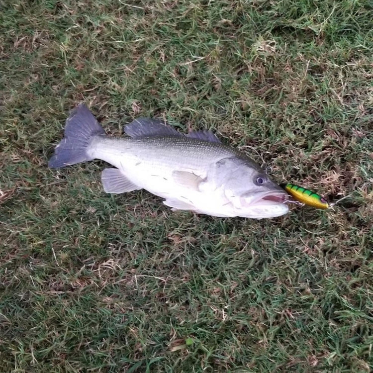 HENGJIA PE018 10cm/13g Propeller Tractor Shaped Hard Baits Fishing Lures Tackle Baits Fit Saltwater and Freshwater (4#) by HENGJIA