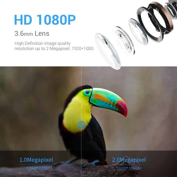 ESCAM PT389 IP66 Waterproof 2MP PIR Motion Detection Two-way Audio Night Vision WiFi Camera with AI Bird Recognition Bird Watching House by ESCAM