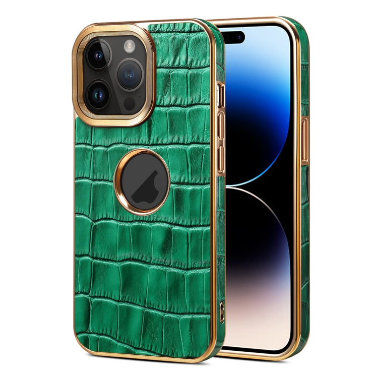 For iPhone 14 Pro Max Denior Crocodile Texture Genuine Leather Electroplating Phone Case(Green) by Denior