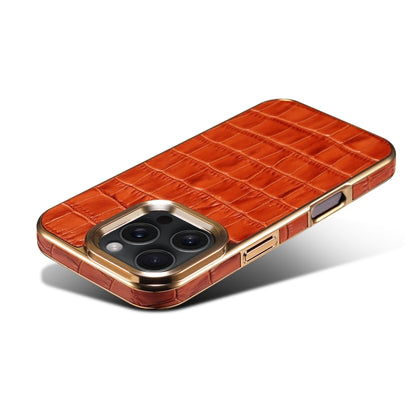 EDA005255214C_2.jpg@4bcc142d653a3aea179de4da145af561