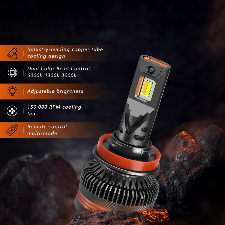 EDA008030406_5.jpg@9d770a422f9597d49e29e163b96e2889