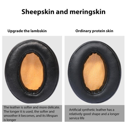 EDA0082423_B4.jpg@a398dd9c29b81f07b4d70863ff9091c2