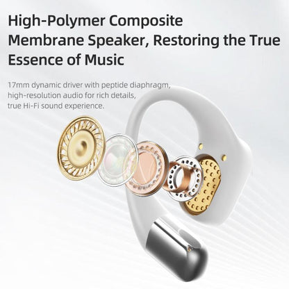 EDA0082726_B5.jpg@a9d47598155f2c3a8b4015120c7a3d5f