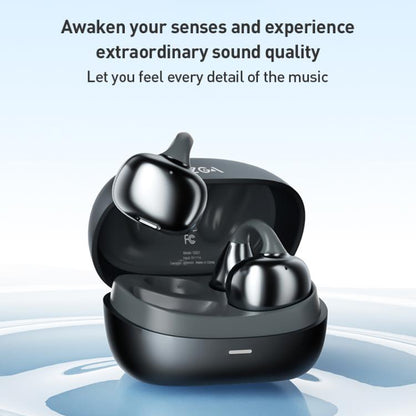 EDA0084386_B6.jpg@8802d0fa6f40202453b314c2c22b3c95