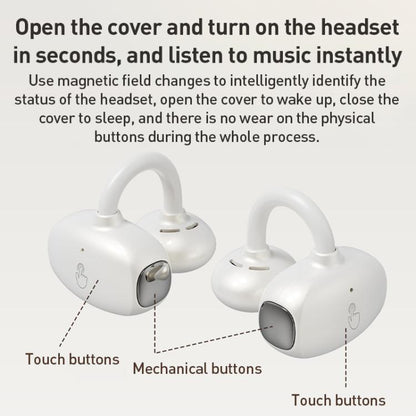 EDA0084391_B8.jpg@d435d27ffeb67fe445dec5e3c3d0794a