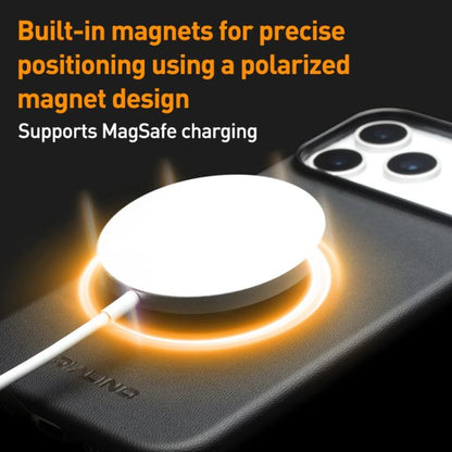 For iPhone 17 Pro QIALINO Technology Leather MagSafe Phone Case(Black) by QIALINO