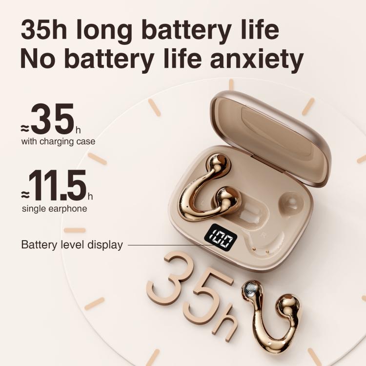 EDA0087575_B5.jpg@5e197e05284fd46fea738bfe28edfff1