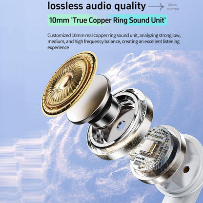 EDA008788701A_3.jpg@fef895aac9913c0f35a190a9b0711d8b