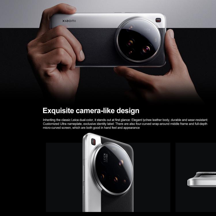 MPH2832_B4.jpg@625509926373464884218a37824a9e74