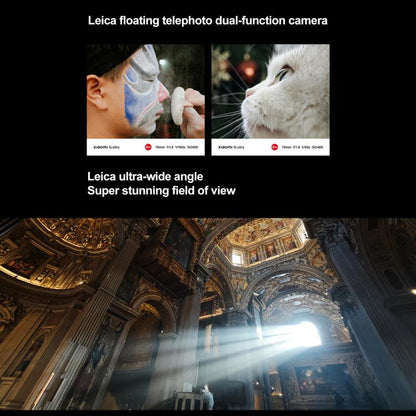 MPH2833_B12.jpg@c0752d802c130490a852e7edcd14136d