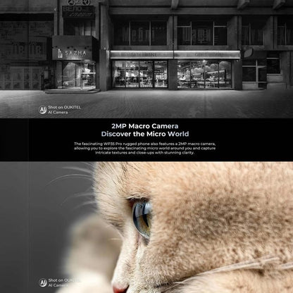 MPH2864_B10.jpg@11e9ed33cb97e5c7247e618b1aa10c3e