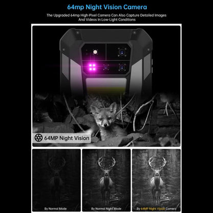 MPH2965B_13.jpg@acca6bd9313b3a5c311afc94449b1d1b