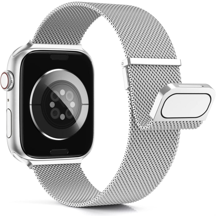For Apple Watch SE 2022 44mm Milan Double Magnetic Steel Mesh Watch Band(Silver) by bashfashion